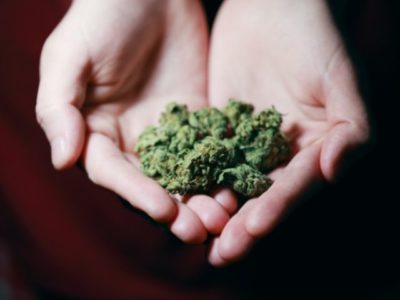 Marijuana in a teenager's hands.