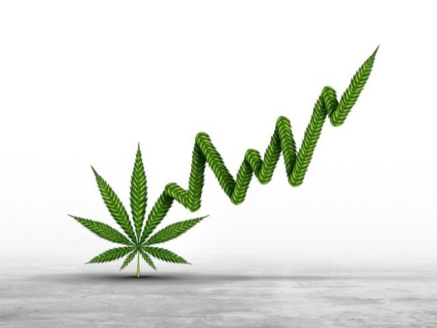 A graphic with a marijuana leaf and a graph.